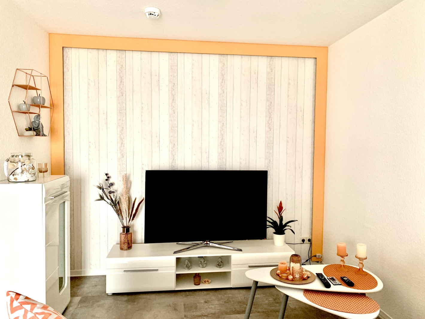 TV-Bereich mit Deko und Pflanze in der Ferienwohnung Cottbus mit Balkon