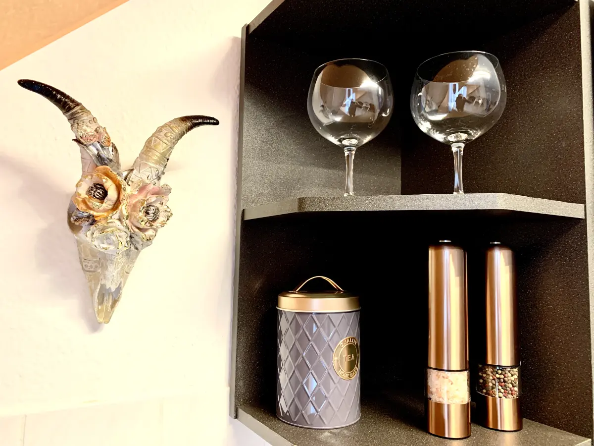 Ferienwohnung-Cottbus-apricot-apartment-kuechenzeile-weingläser