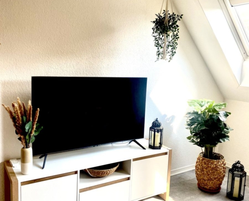ferienwohnung-cottbus-beige-wohnzimmer-TV-2